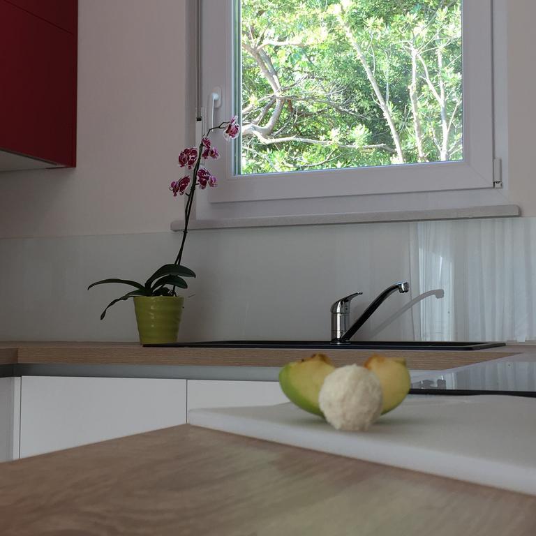 Apartment Panoss Rovinj Extérieur photo